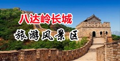 日逼视频网站免费播放中国北京-八达岭长城旅游风景区