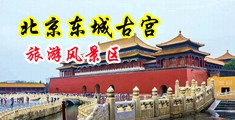 骚女孩被草视频中国北京-东城古宫旅游风景区
